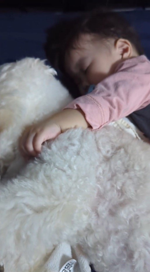 赤ちゃんに抱きしめられて眠る犬