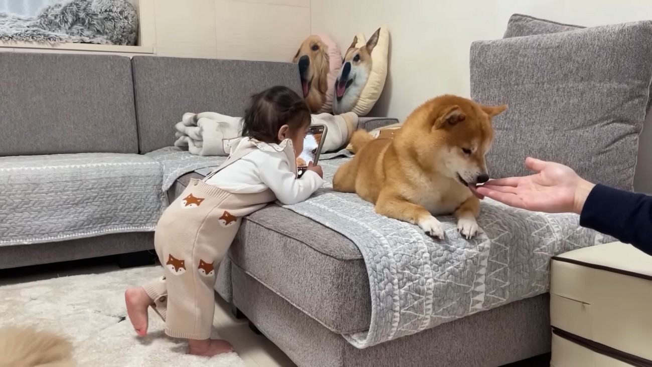 チャレンジする姿にホッコリ