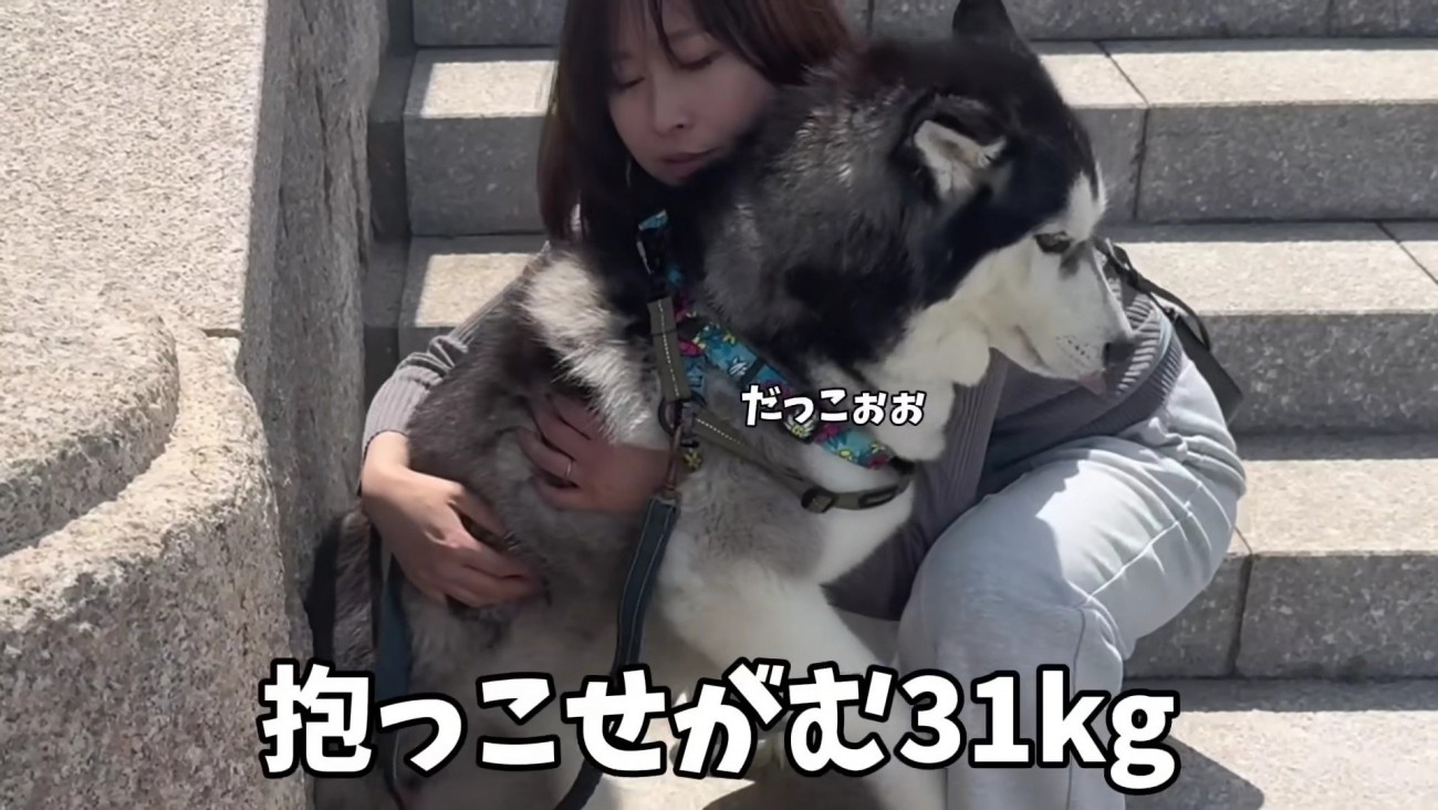 「むりです…」