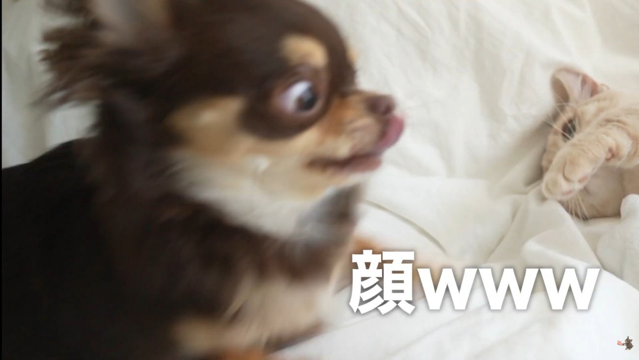 ビビりまくり！（笑）