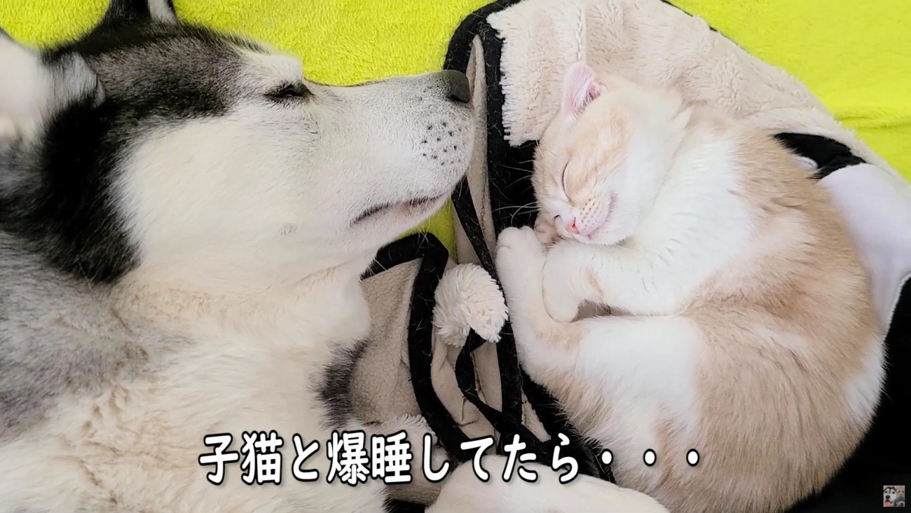 はっちゃんとじゅんちゃん