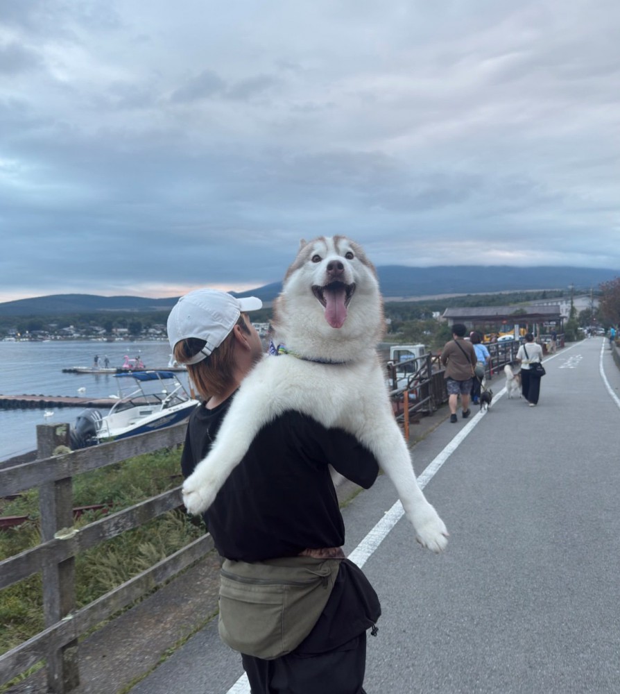 大型犬を抱っこする男性