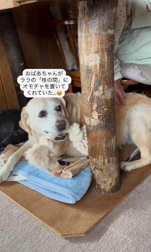 ララちゃんとユーザーさんの再会5