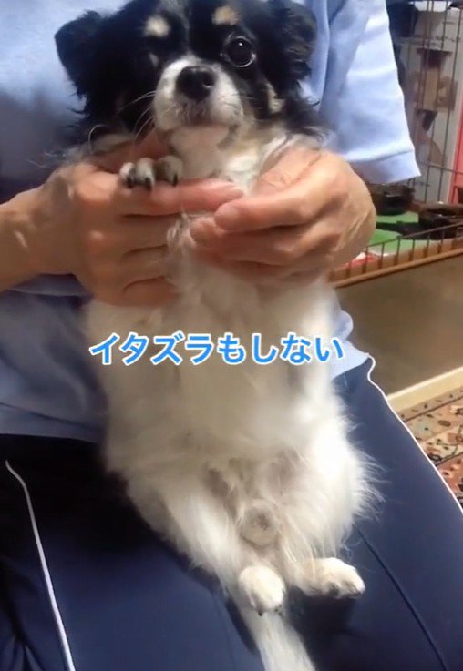 ちーちゃんとの出会い9