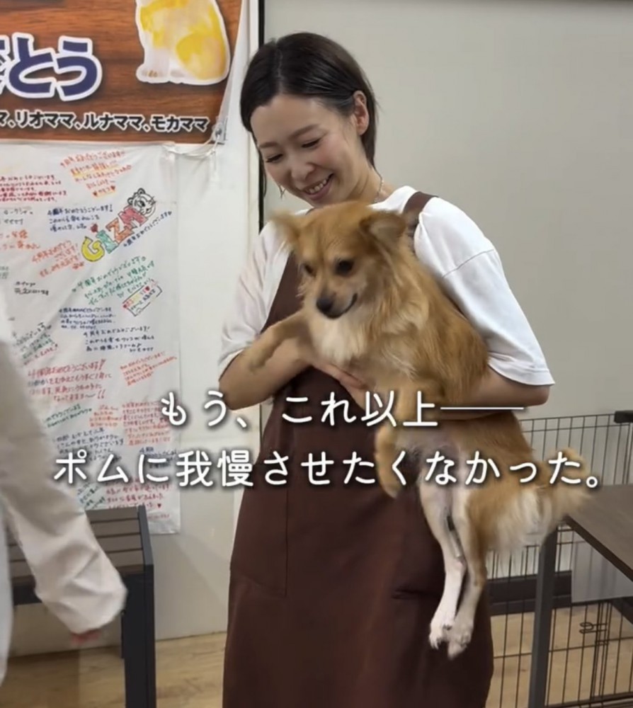 人に抱っこされている犬
