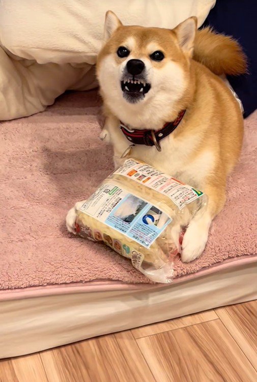 ポポちゃんとの思い出