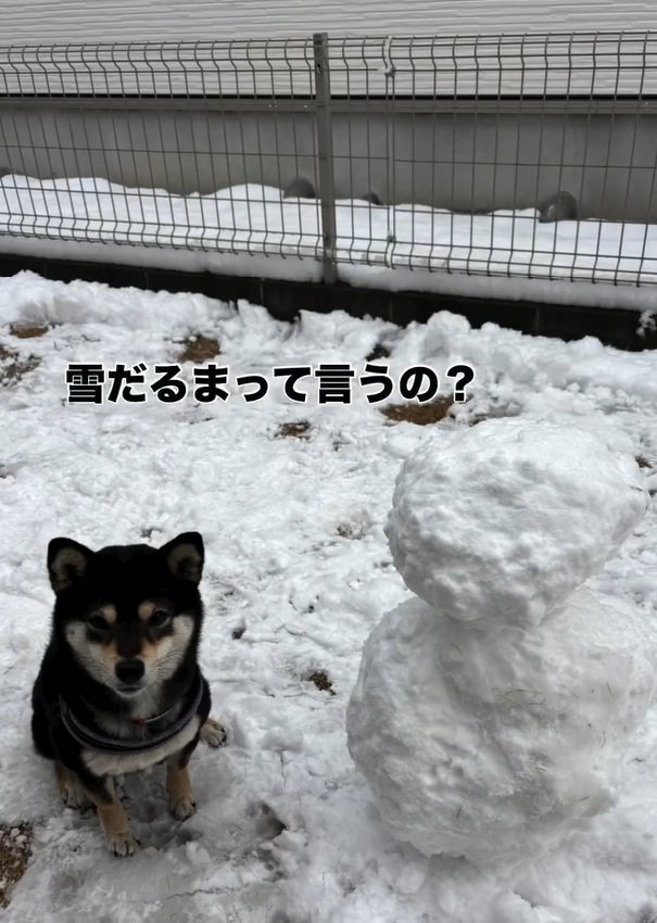 雪だるまと千幸ちゃん