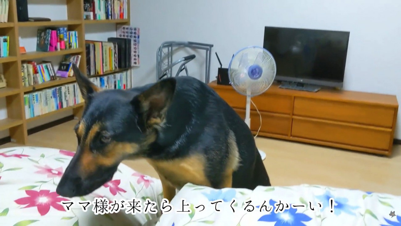 「じゃあ私も一緒に寝る！」