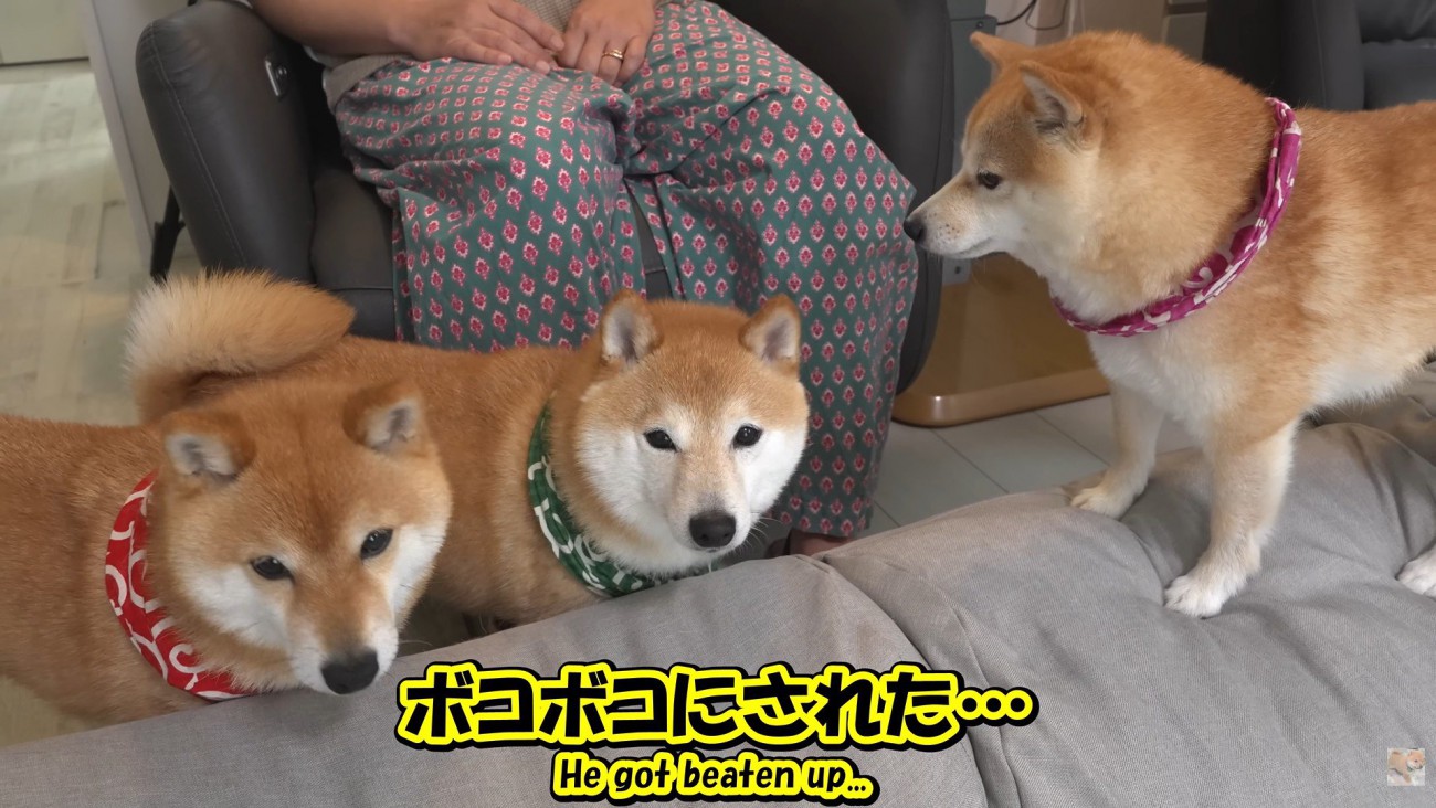 凛ちゃんは最強！