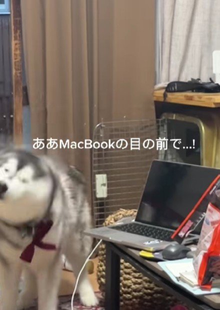 最悪の場所でブルブル！！