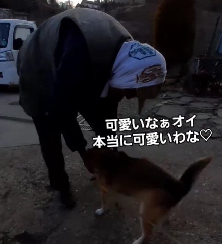 じゅんこちゃんのことが大好き