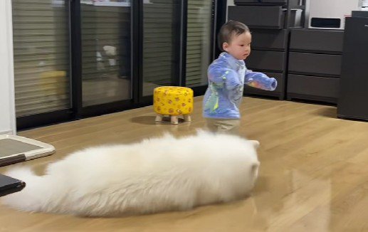 とても子煩悩な性格
