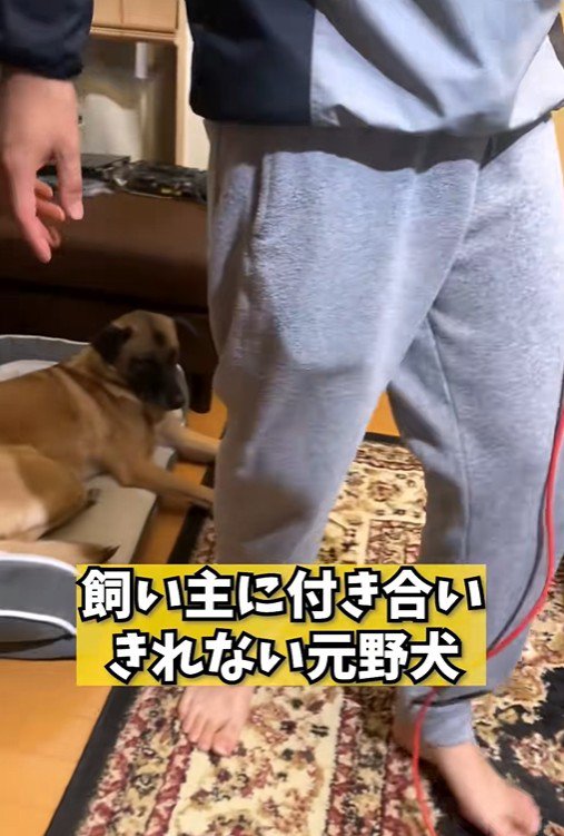 パパが熱唱している時のアキちゃん