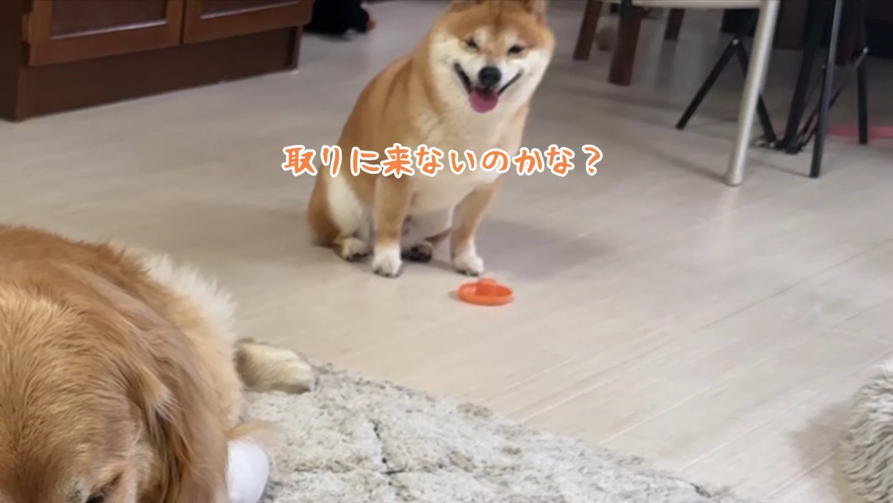 「取りに来ないのかな？」