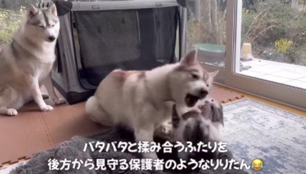 これからも仲良くね！！