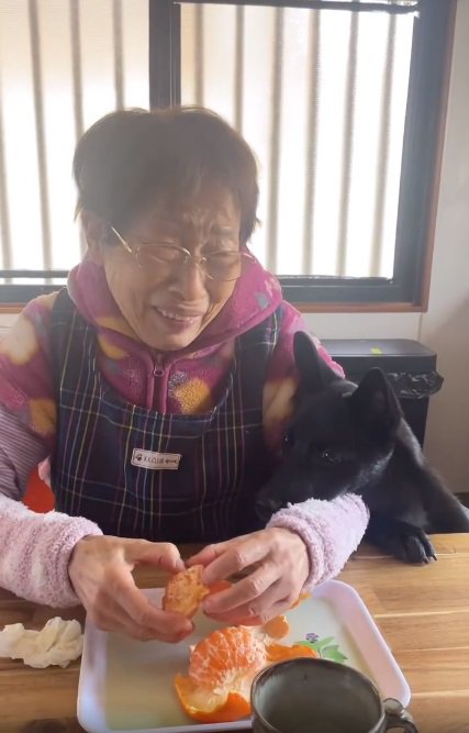 あご乗せするロイくん