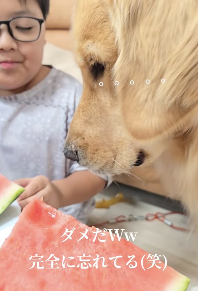 頑張って思い出すんだ…！