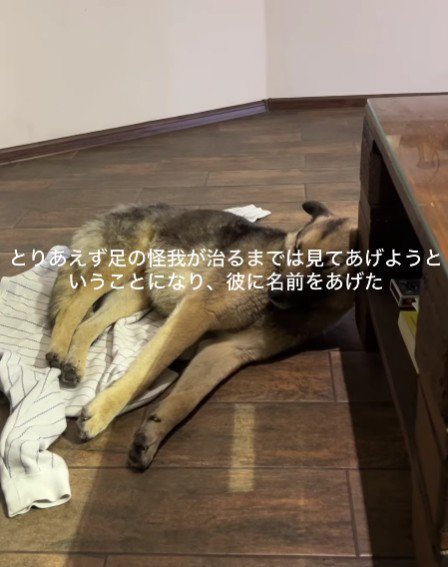 衝撃の事実が…