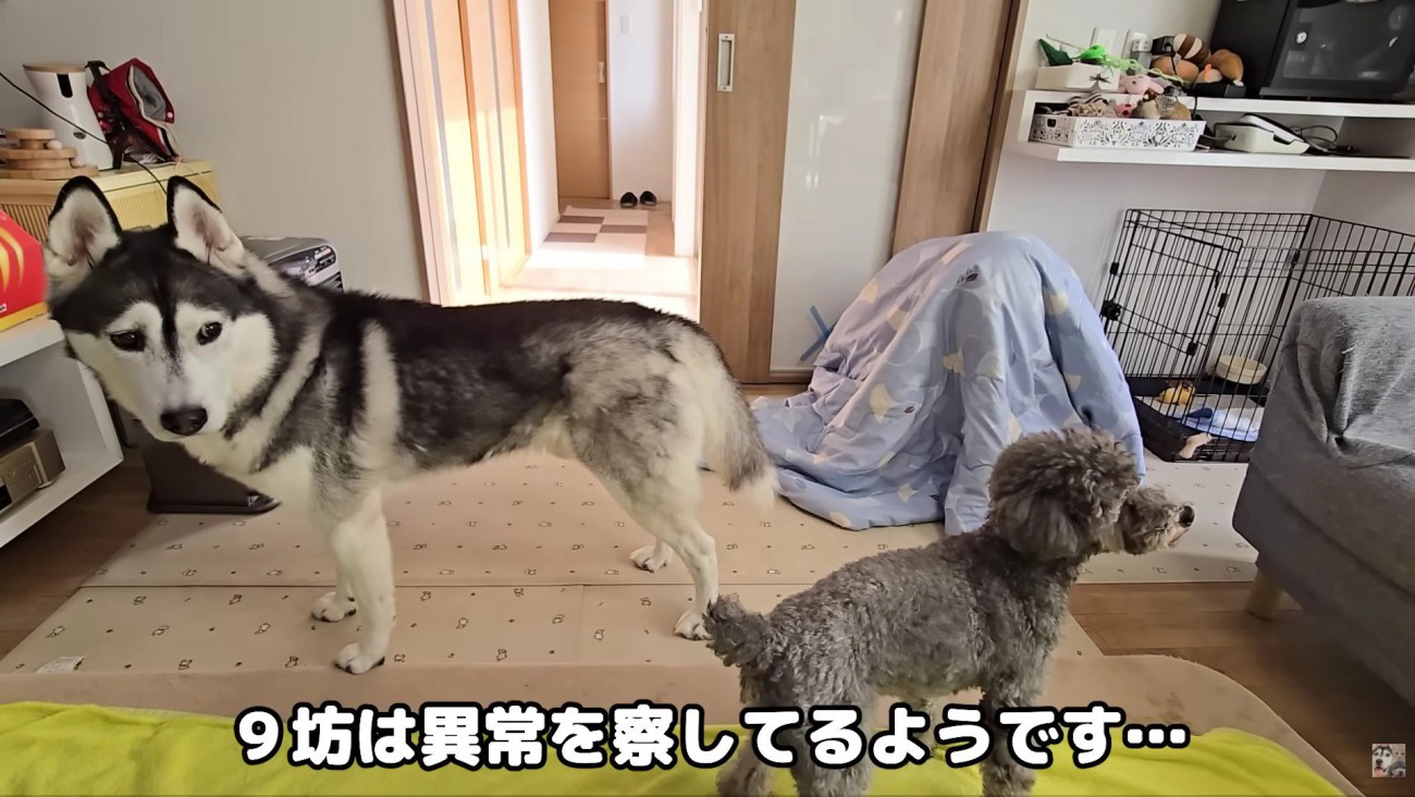 「何かがおかしい…」