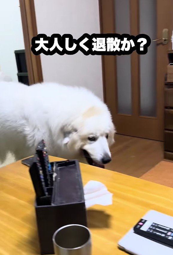 「じいじと遊びたい…」