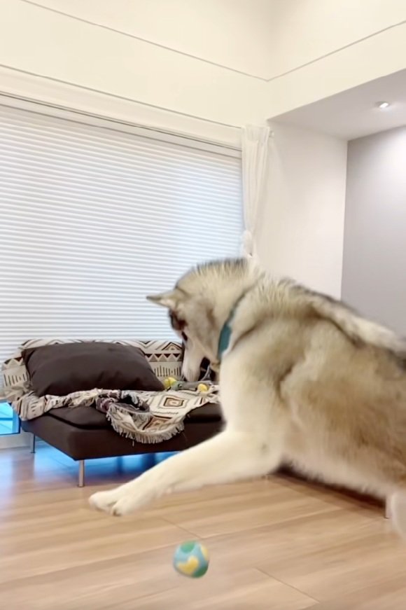 落ちていくボール