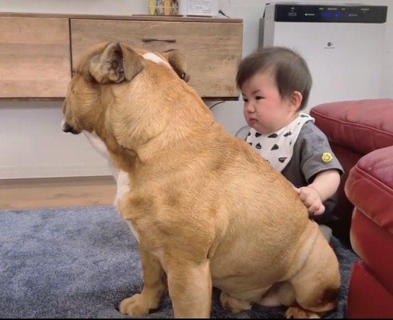 泣き止んだ赤ちゃんと座る犬
