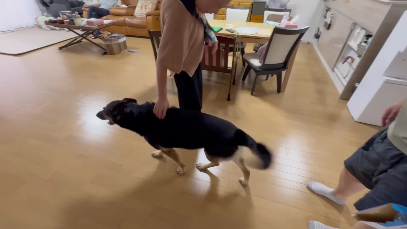 まさかの塩対応！！