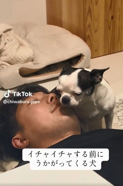 パパに甘えたいピペちゃん