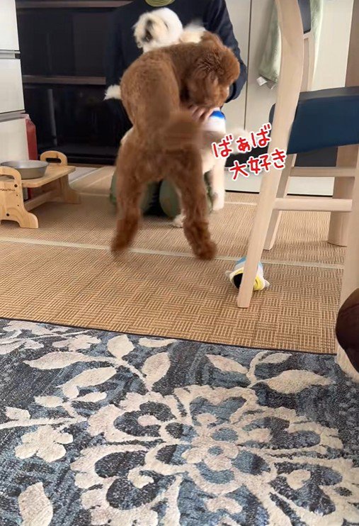 愛が止まらない2匹♡