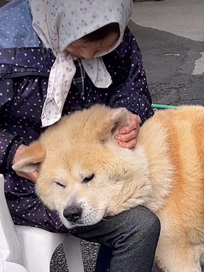 大好きなおばあちゃんに…