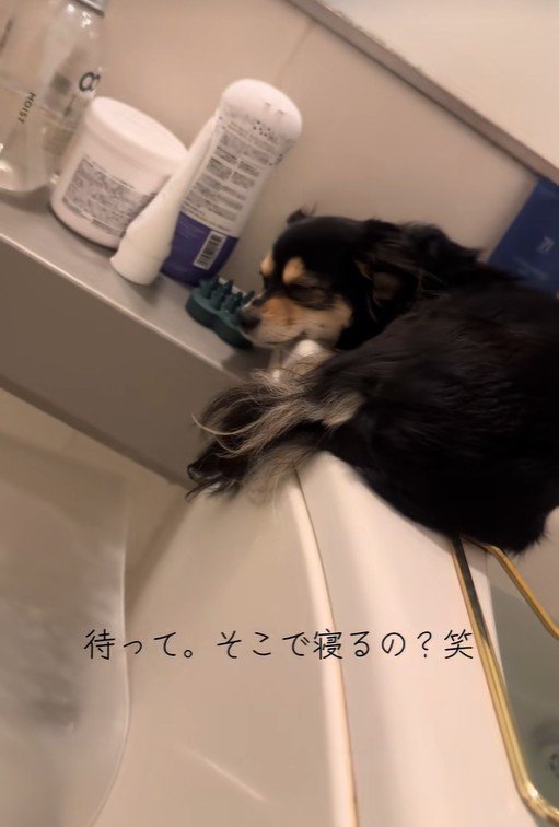 気持ち良さそうにウトウト…♪