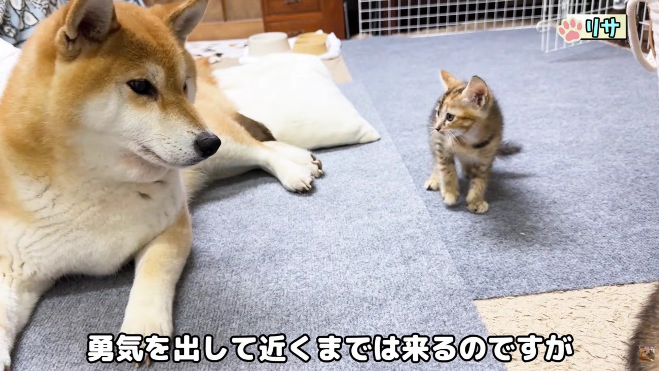 ちょっぴり気になる…