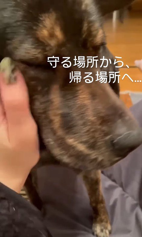 とっても幸せそう！