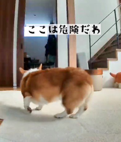 ここにいると危ないかも