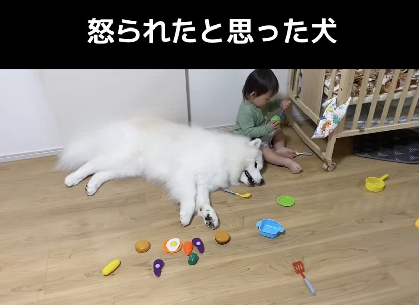 男の子の隣でまったり