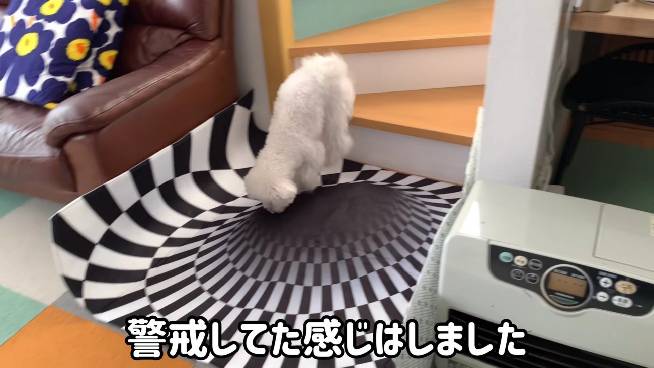 ちょっぴり気にした？