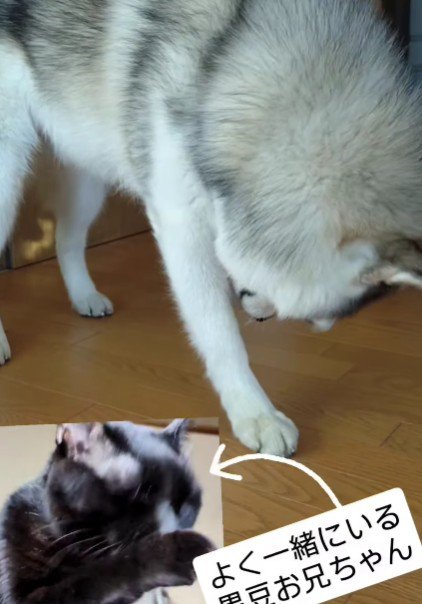 この習慣は欠かせません