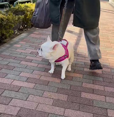 リード役を交代してみたら？