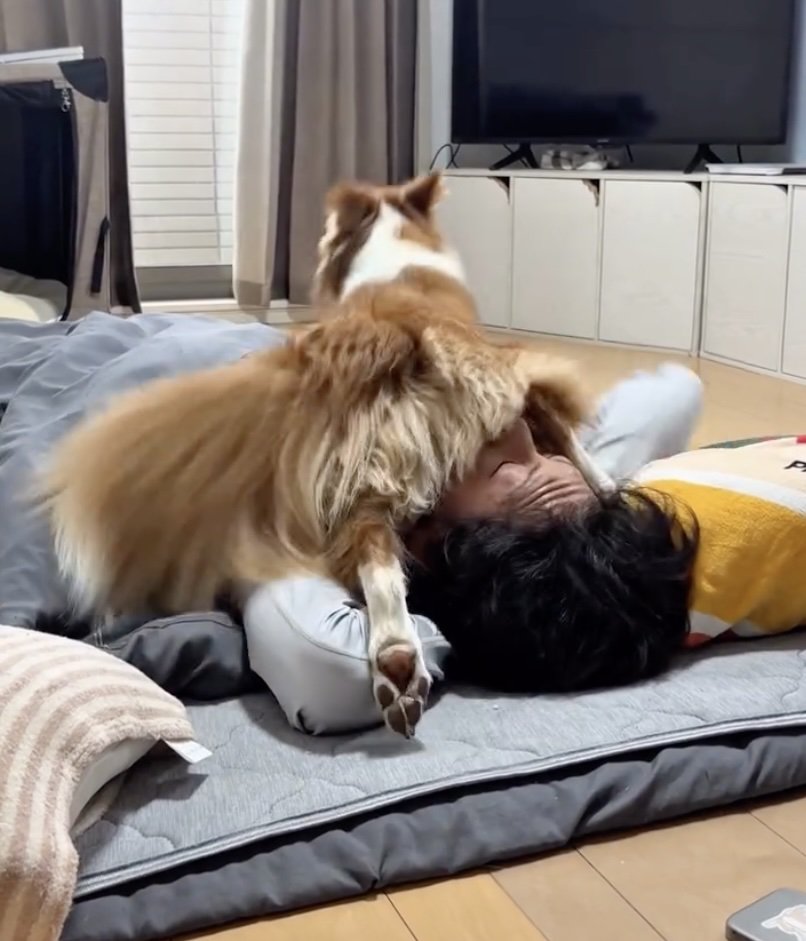 踏みっ