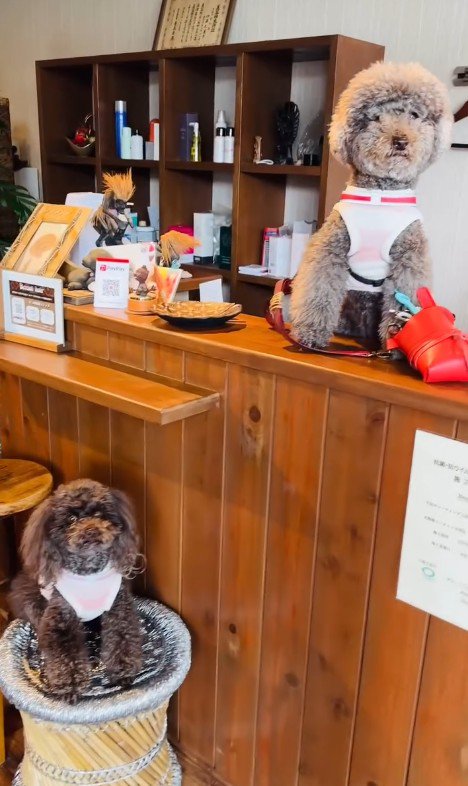 看板犬のジュプンちゃん＆ブンガちゃん3