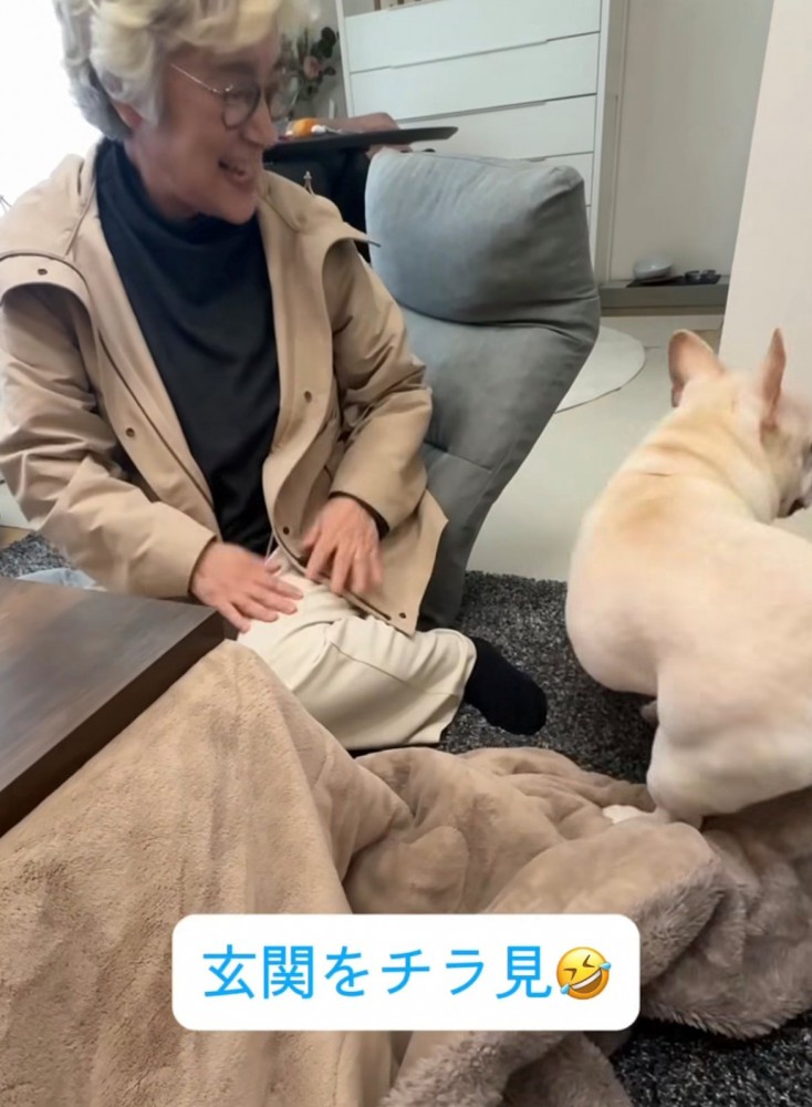 玄関の方を見る犬