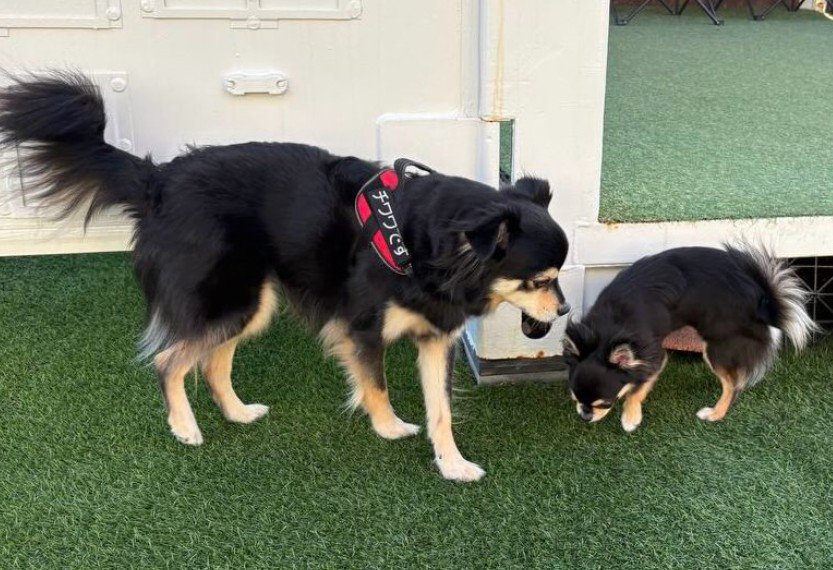 脳がバグを起こしそう！