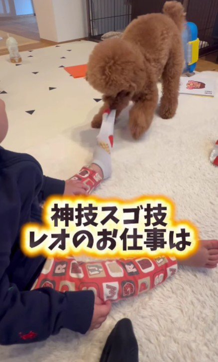 靴下を脱げないときは…