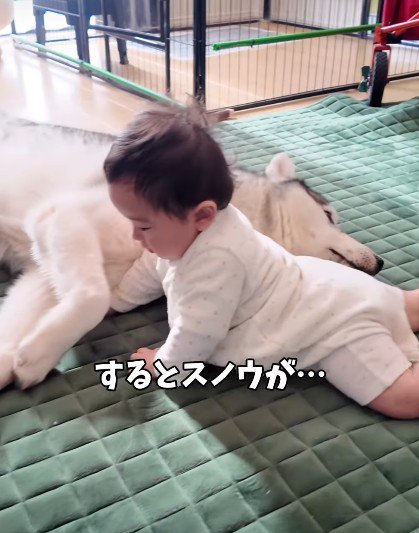 ゴロンと横に♡