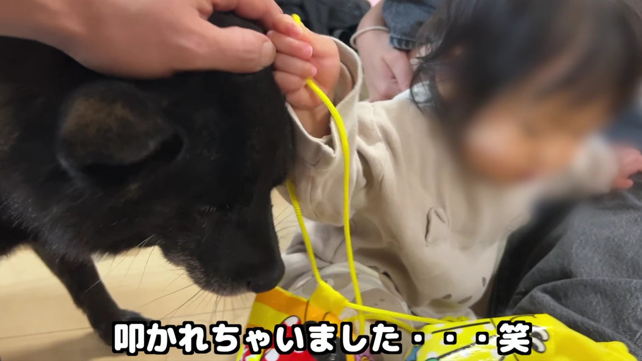 叩かれちゃった！！