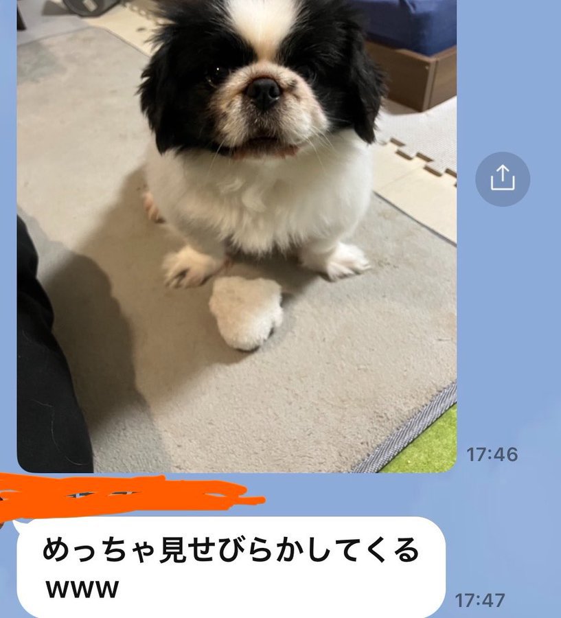 おもちゃ