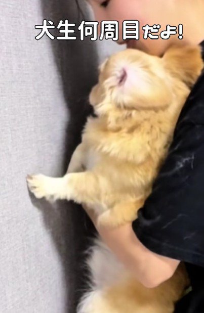 「人生何週目？」