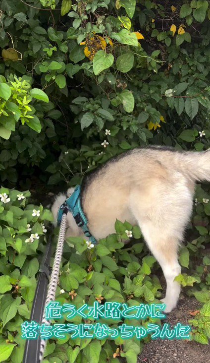 ちょっぴりドジな一面も♡