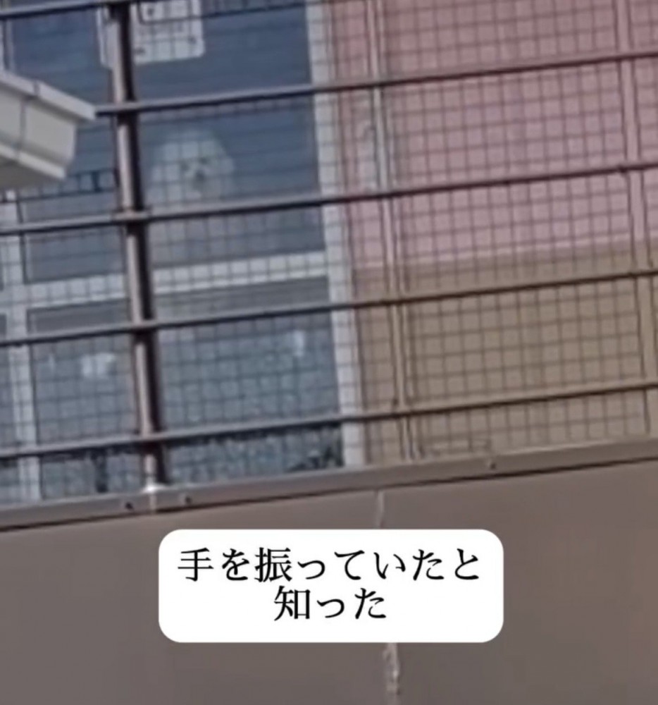 ガラス越しに小さく写る犬の姿