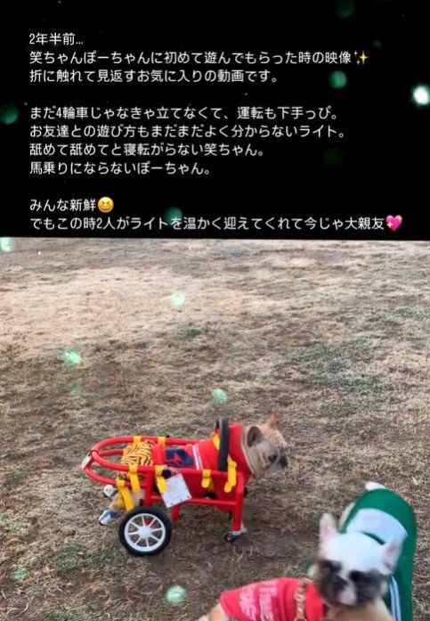 車椅子のライトくんとお友達5